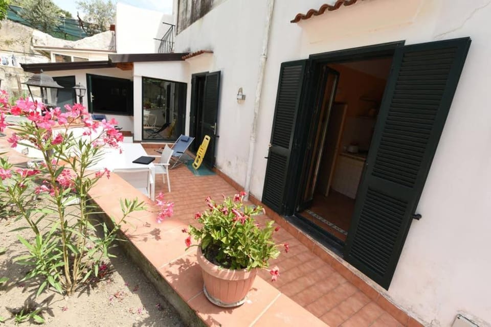 Patio, Facade/entrance