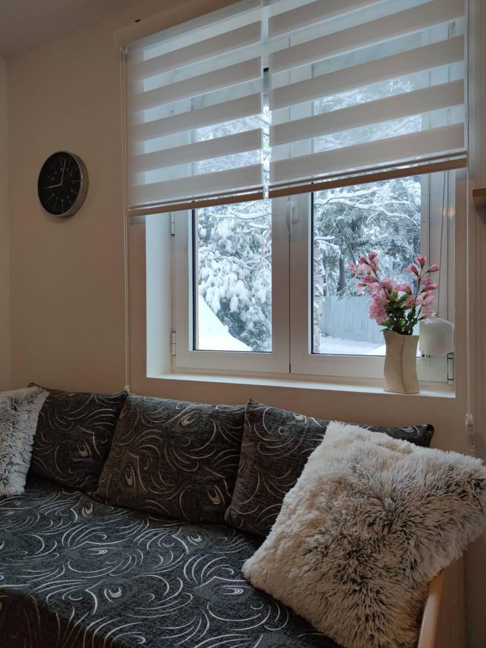 Apartman Paja Apartment in Zlatibor