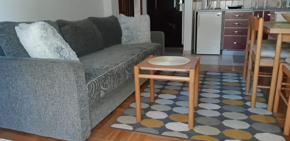 Apartman Paja Apartment in Zlatibor