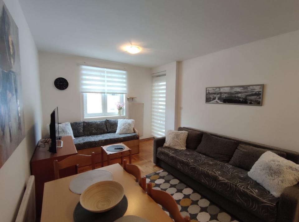Apartman Paja Apartment in Zlatibor