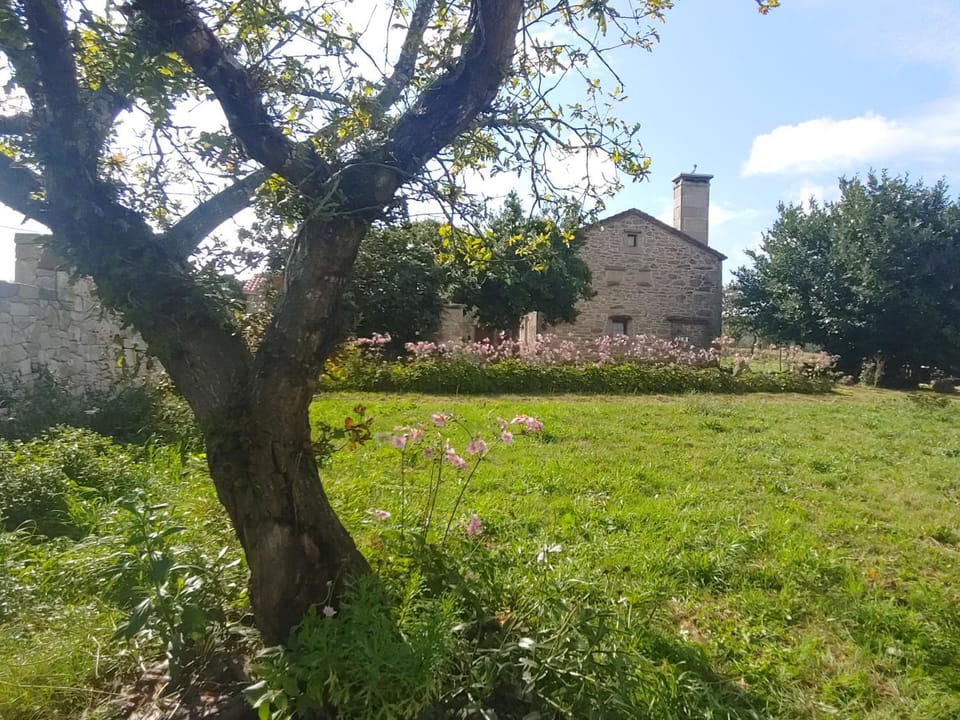 Natural landscape, Balcony/Terrace