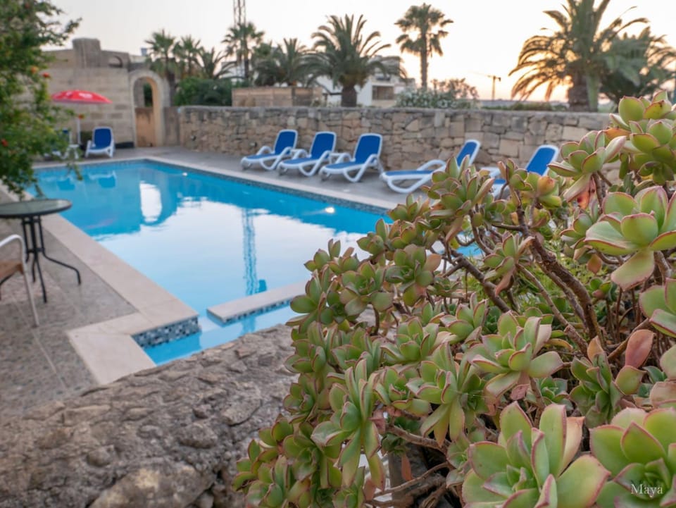 Pool view, Swimming pool, sunbed