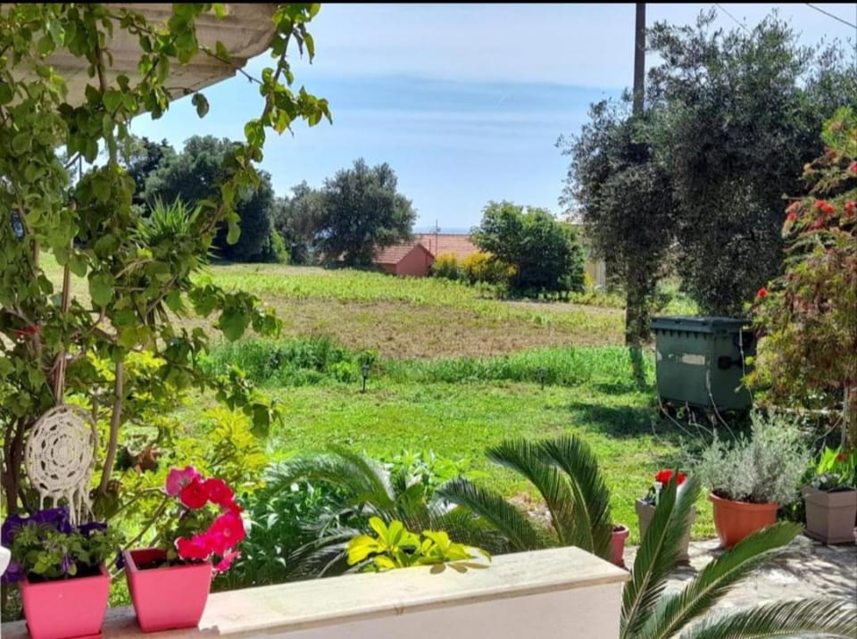 Natural landscape, Garden, Garden view