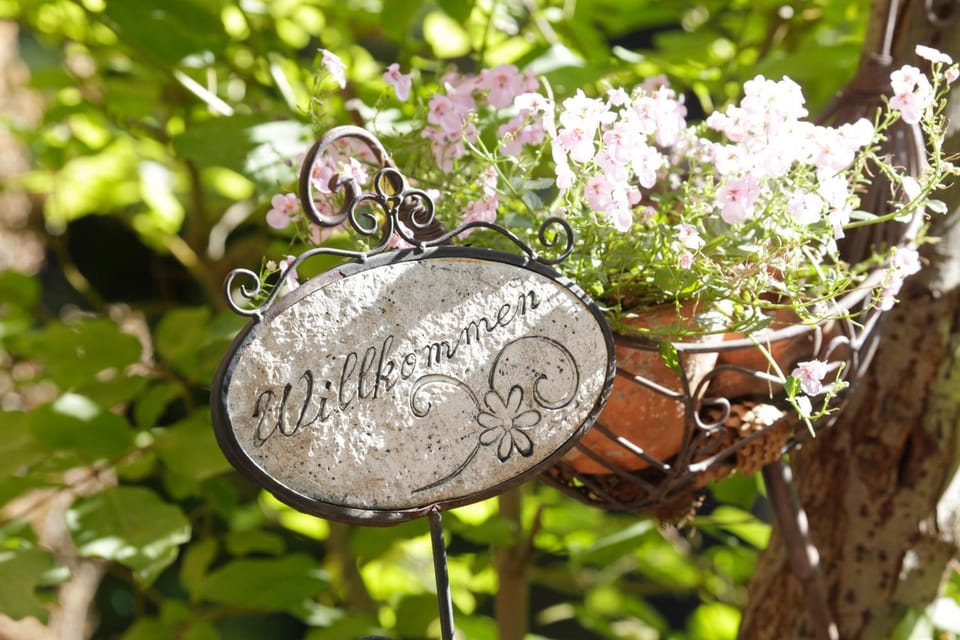 Restaurant/places to eat, Off site, Day, Summer, On site