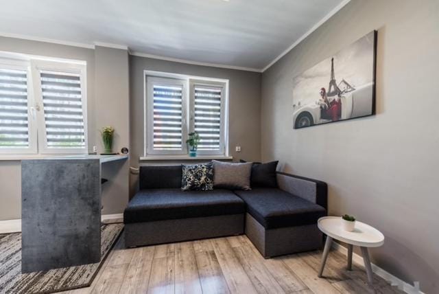 Patio, Living room, Seating area