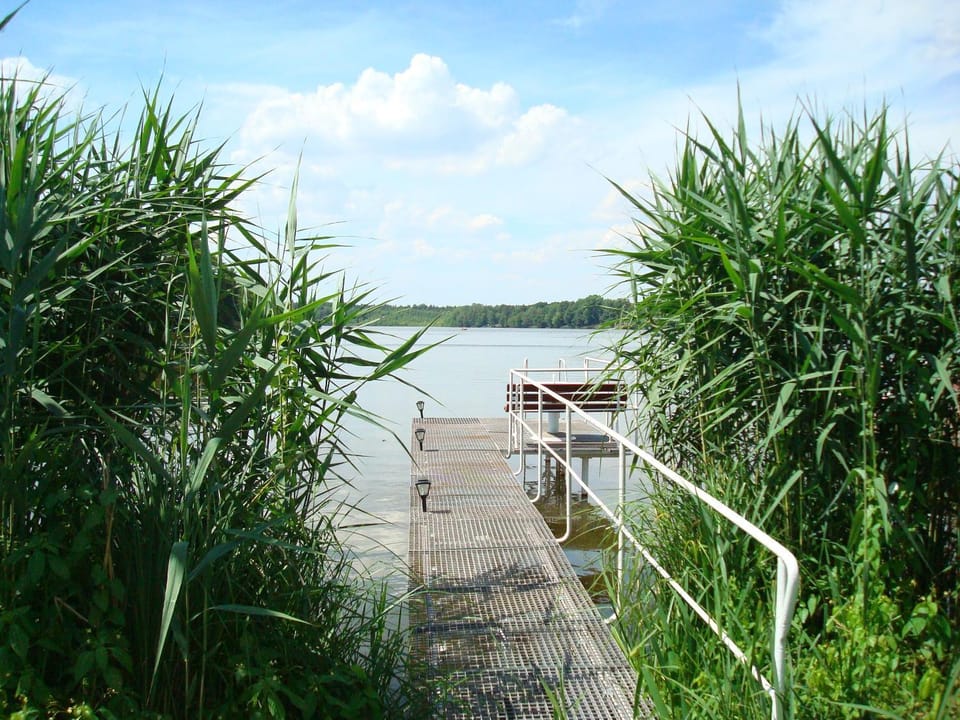 Lake view