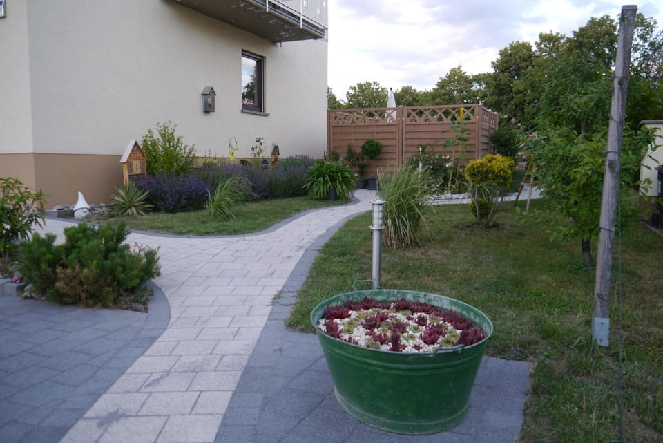 Property building, Garden, Garden view