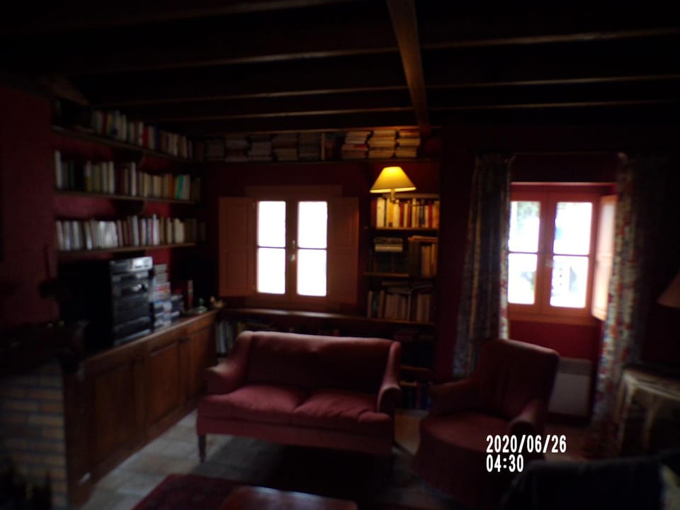 Library, Living room