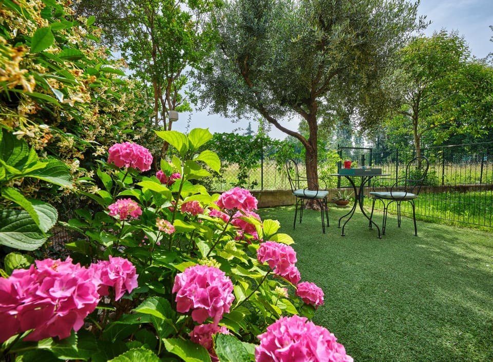 Garden, Garden view
