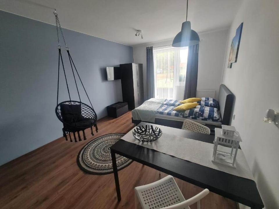 Apartamenty Kalinowa Nowęcin Łeba Sauna Apartment in Leba