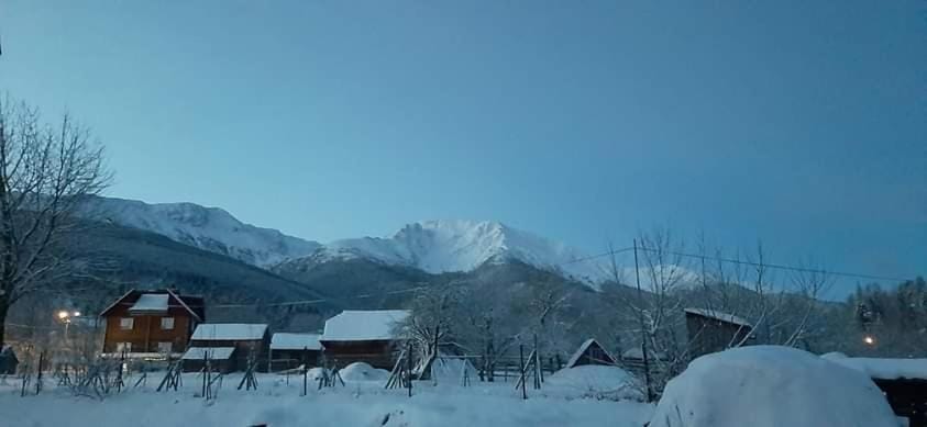 Casa Dana Bed and Breakfast in Romania