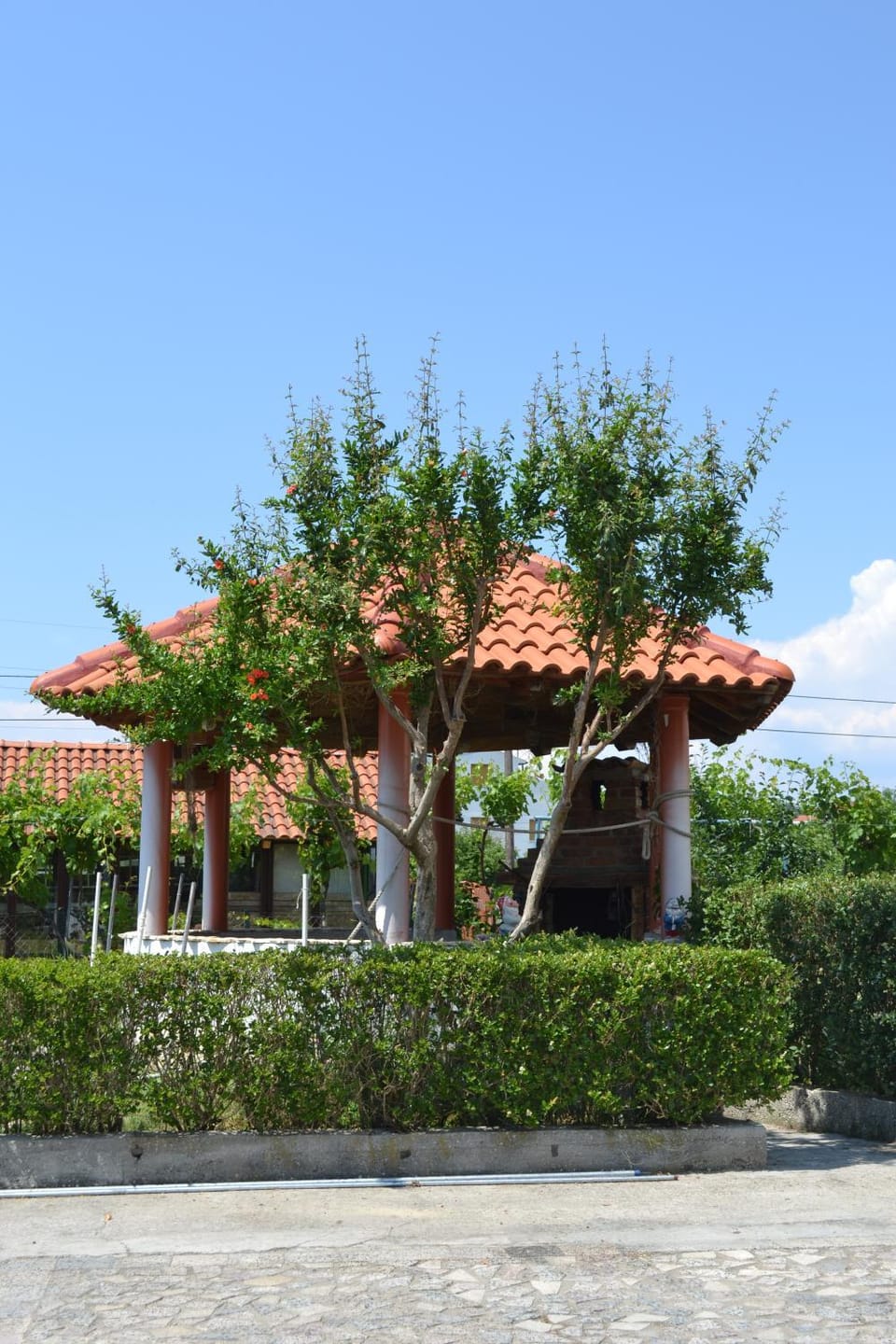BBQ facilities, Garden