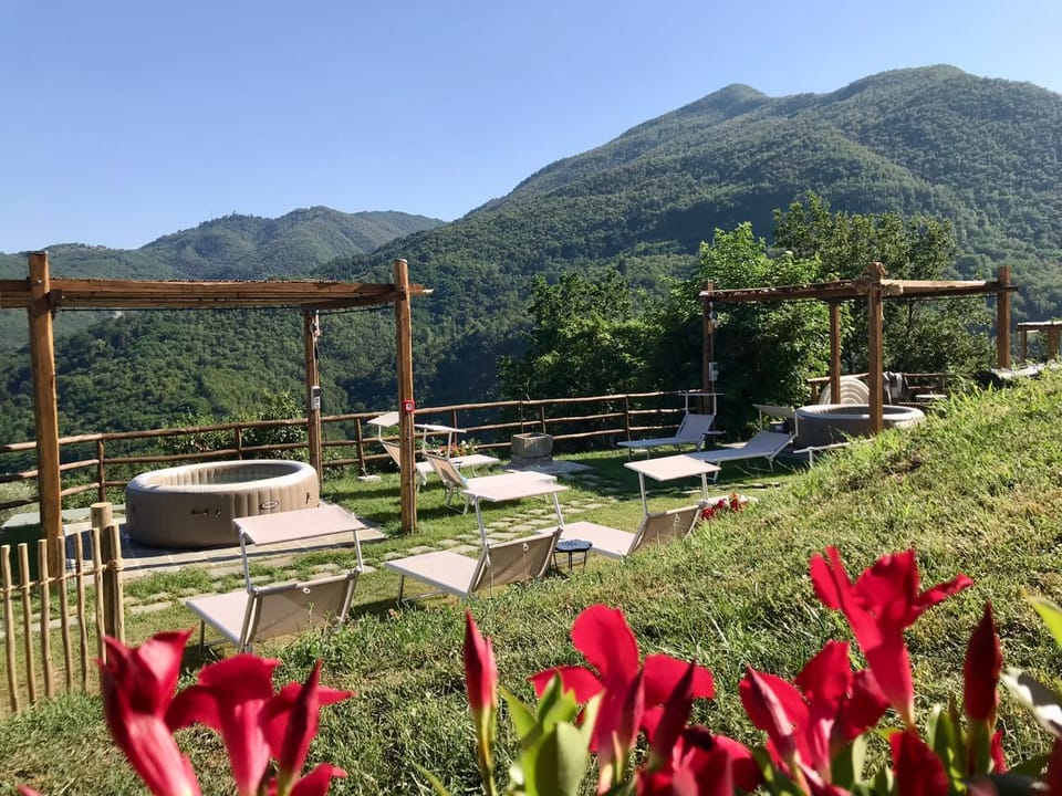 Solarium, Spa and wellness centre/facilities, Swimming pool