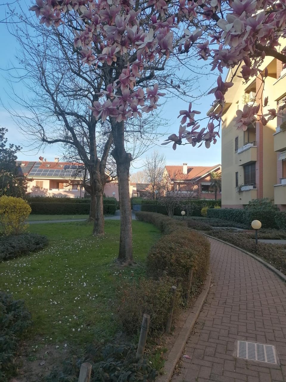 Spring, Neighbourhood, Natural landscape, Garden, Garden view