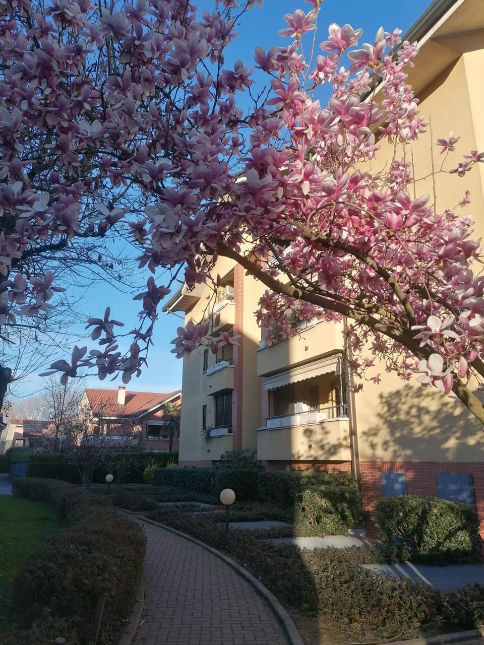 Spring, Garden, Garden view
