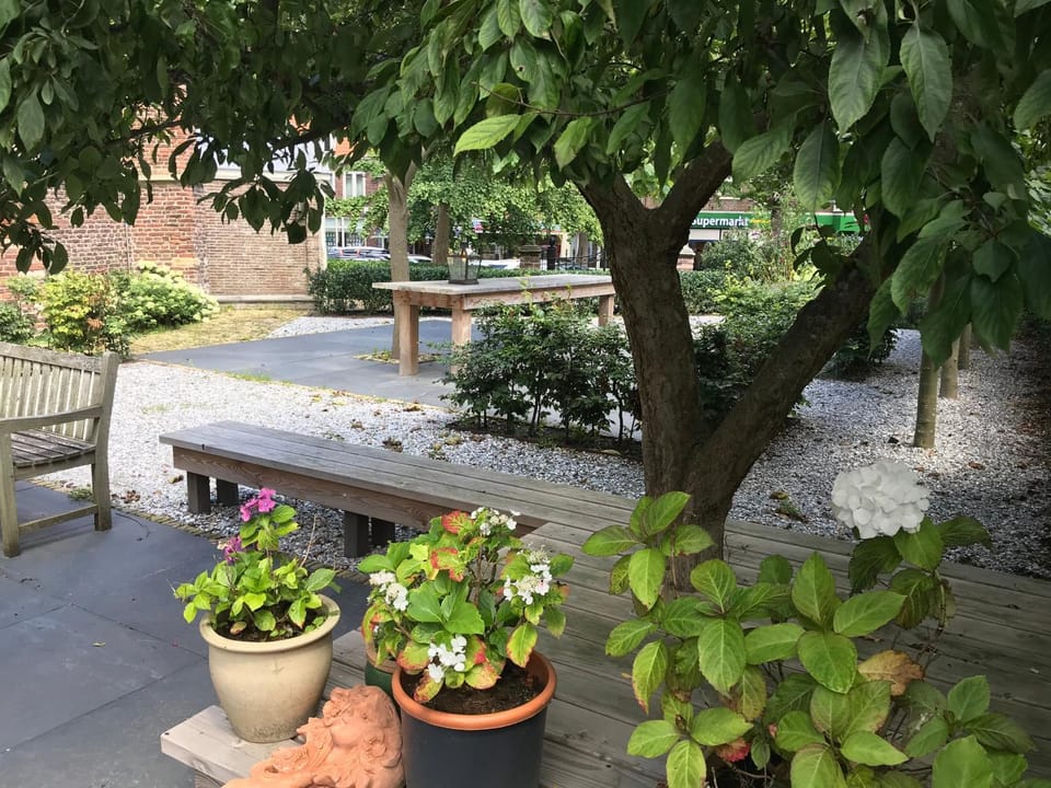 Garden, Garden, Garden view