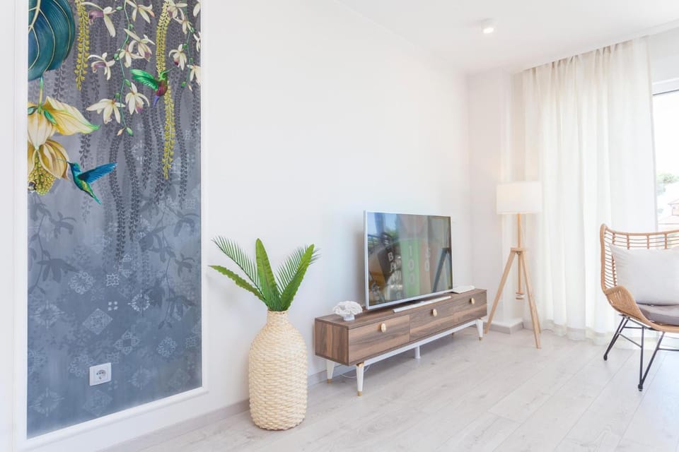TV and multimedia
