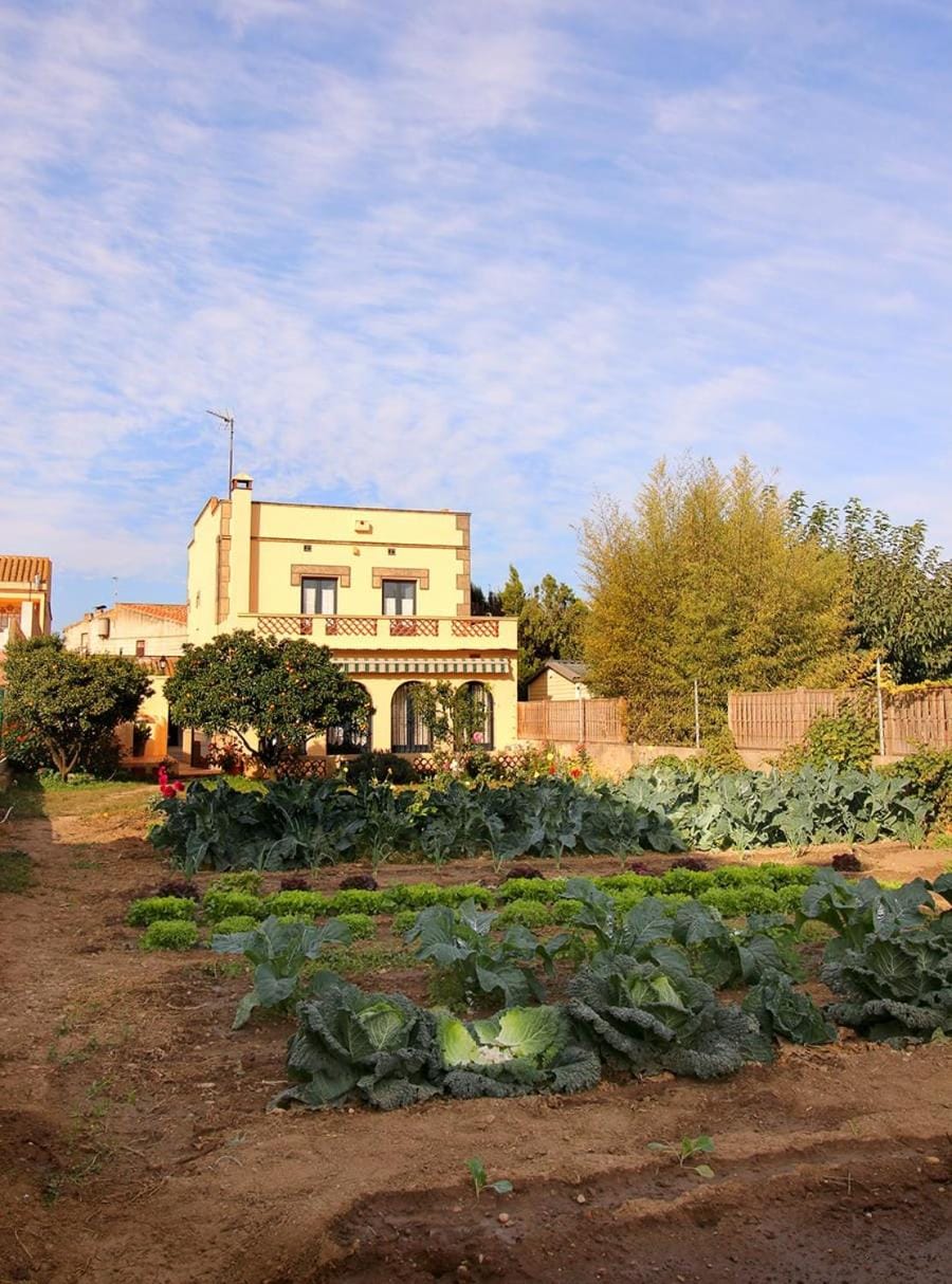 Casa TAPIOLAS House in Alt Empordà