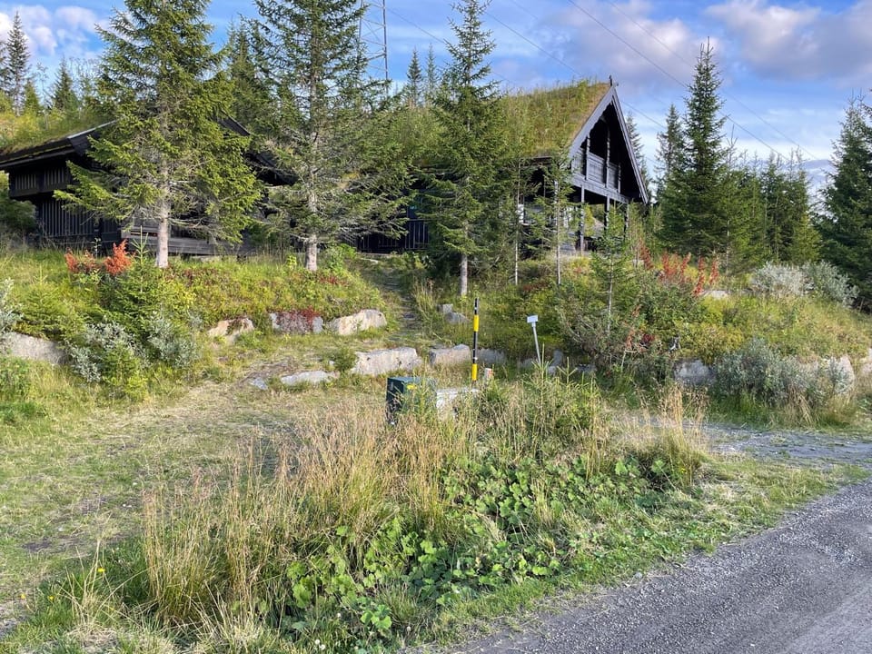 Property building, Summer, Garden view