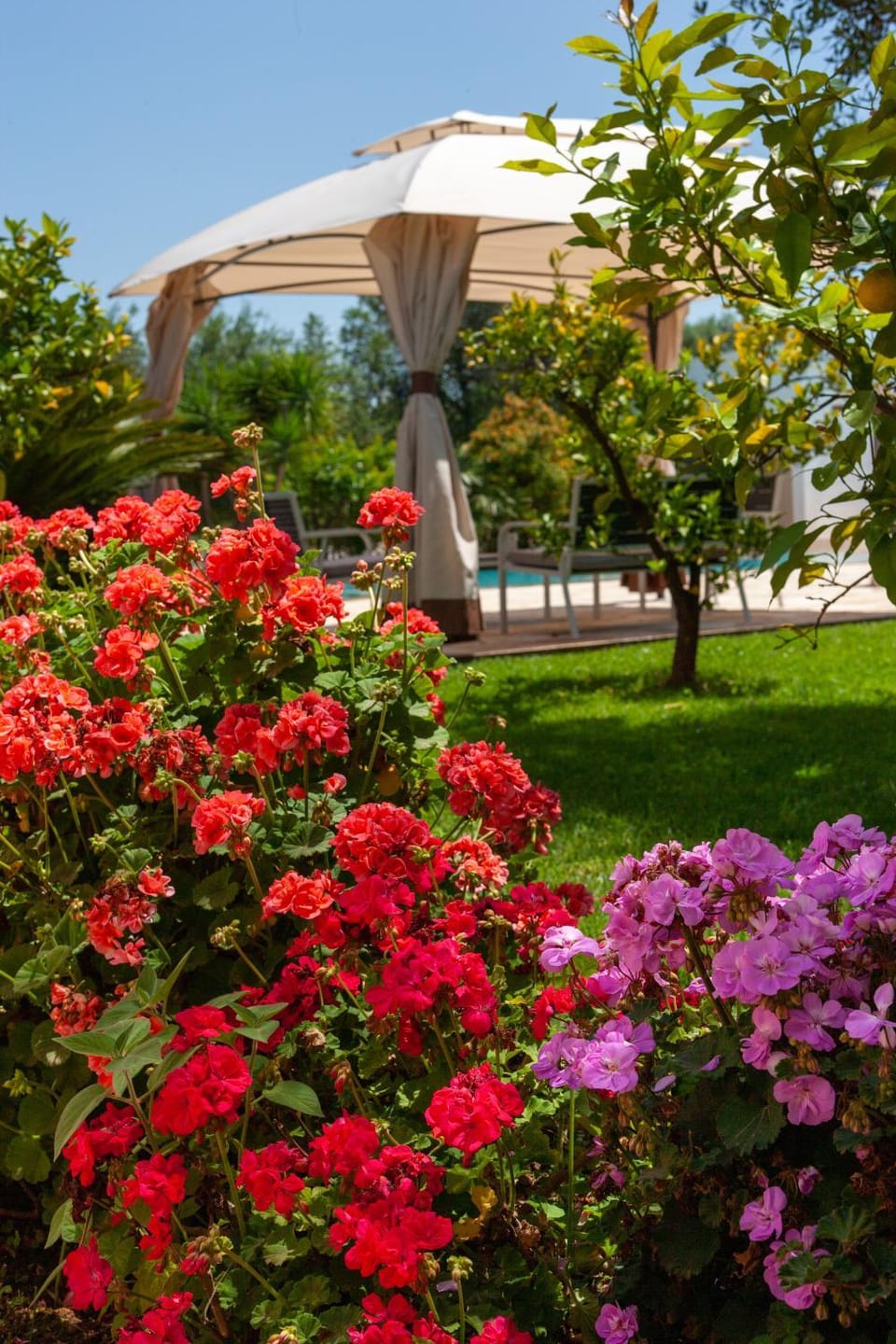 Summer, Garden, Solarium, Garden view, Garden view