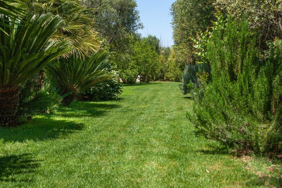 Summer, Garden, Garden view