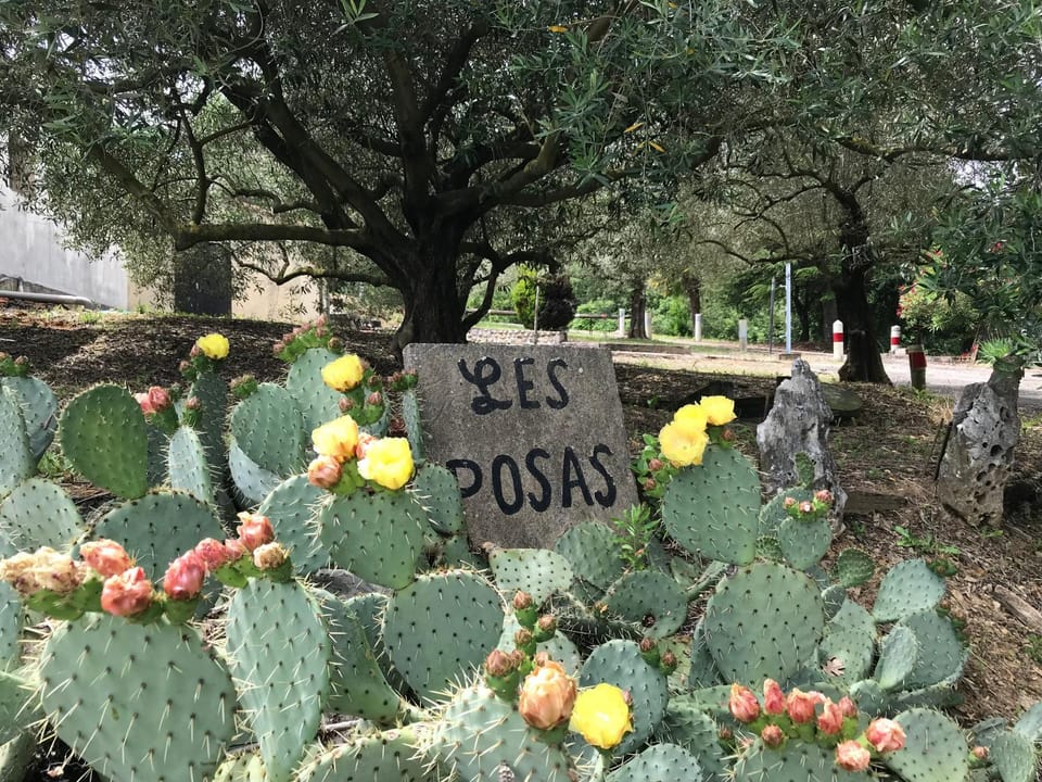 Property building, Garden, Garden, Garden view, Garden view