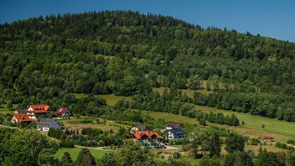 Mountain view