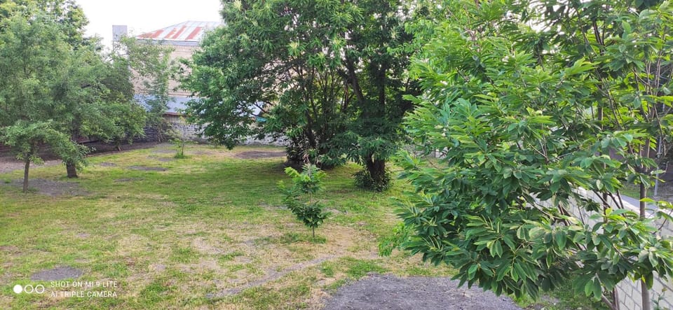 Natural landscape