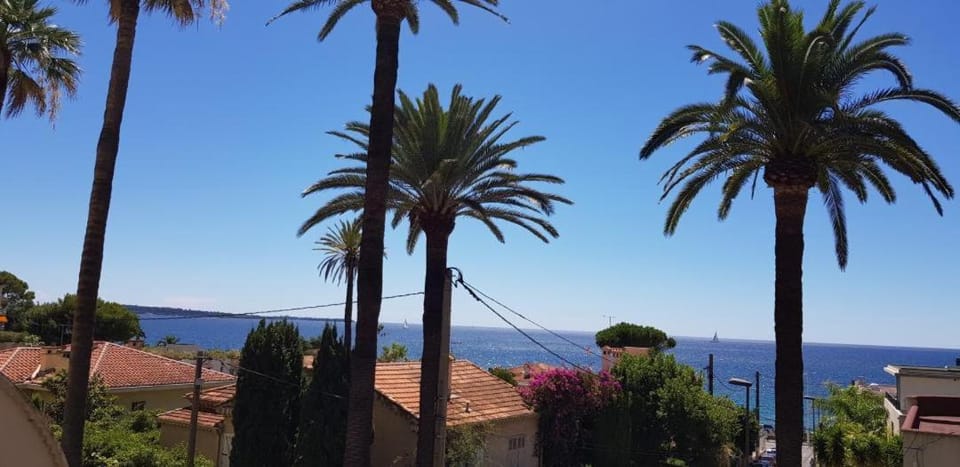 Property building, Summer, Sea view