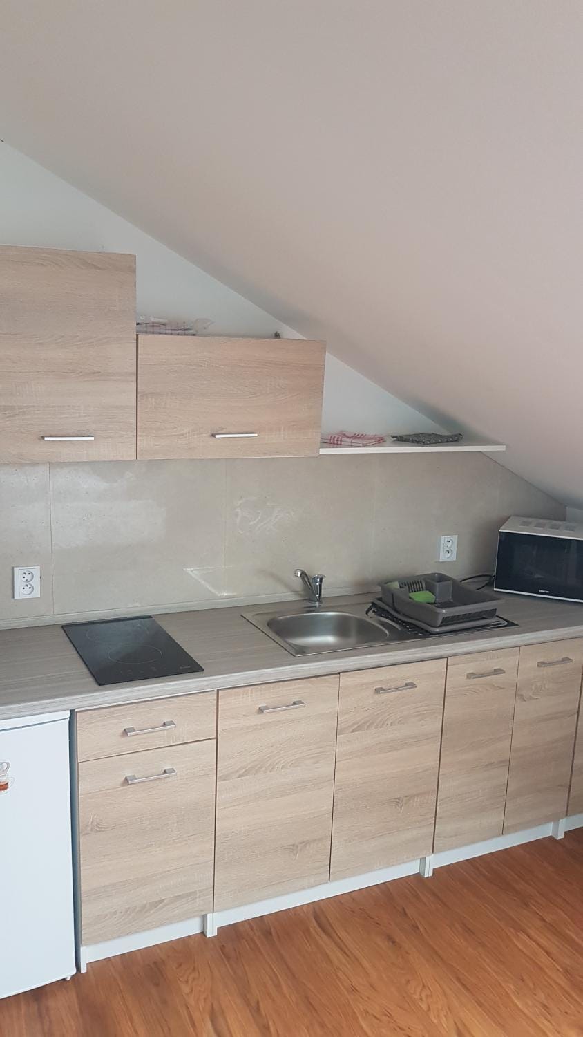byt s kuchynì pro tři Apartment in Slovakia