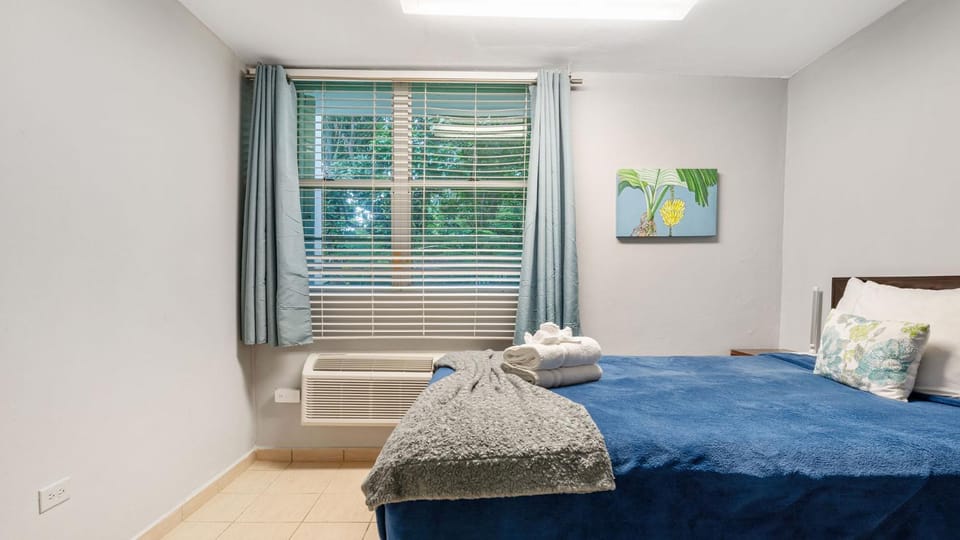 Landing View 203 with private rooftop terrace Apartment in Rincón