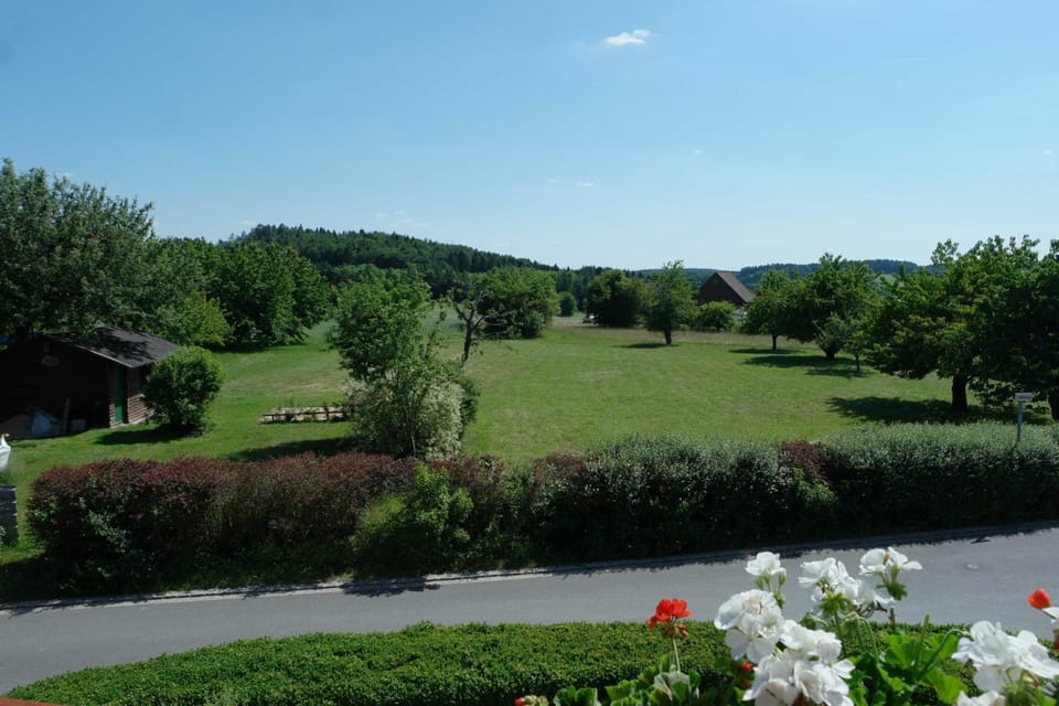 Natural landscape, Garden, Balcony/Terrace