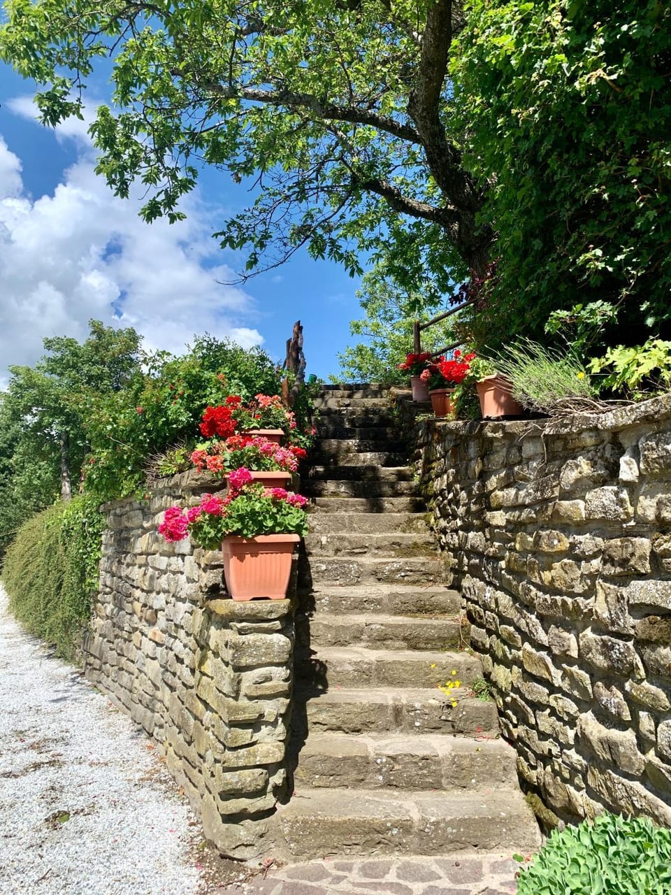 Agriturismo La Fine Farm Stay in Emilia-Romagna