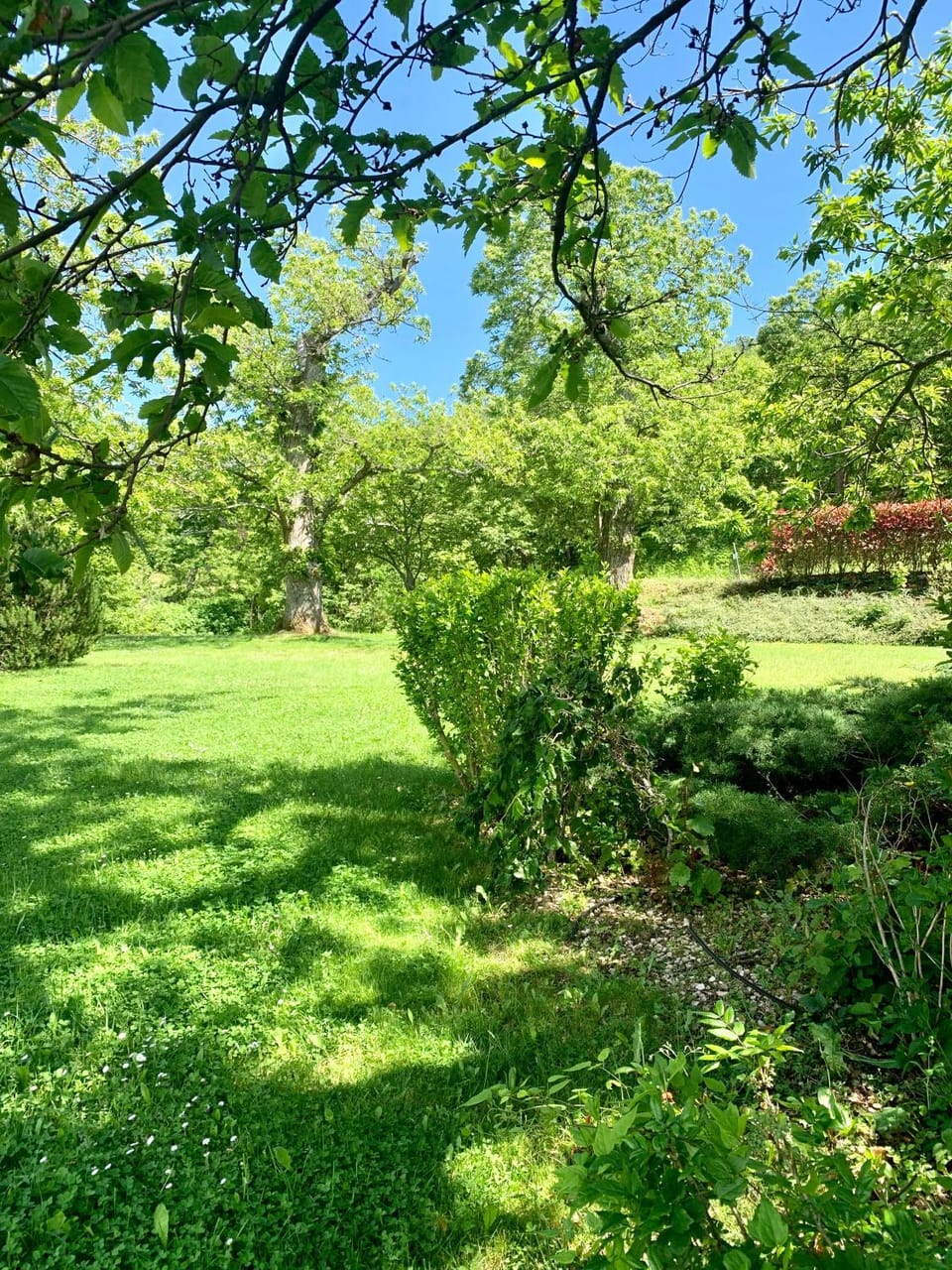 Agriturismo La Fine Farm Stay in Emilia-Romagna