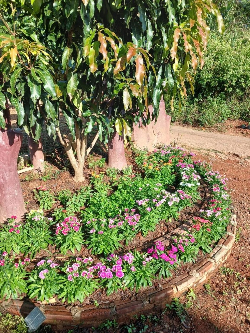 สิรีรินทร์ ภูหมอก Vacation rental in Laos