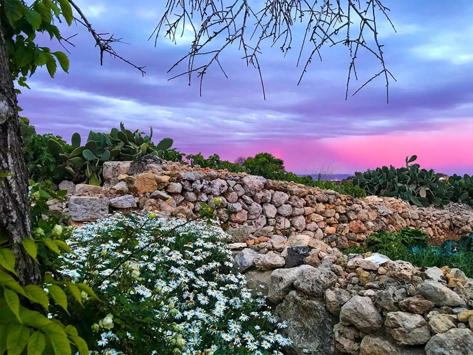 Property building, City view, Garden view, Sunset