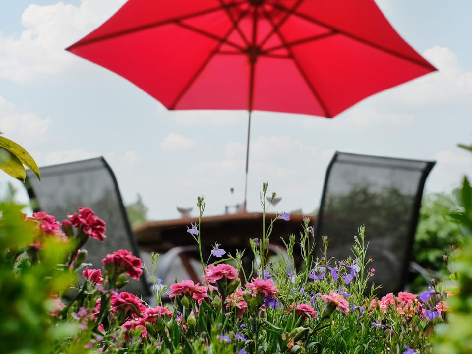 Lantern Cottage House in Saint Austell