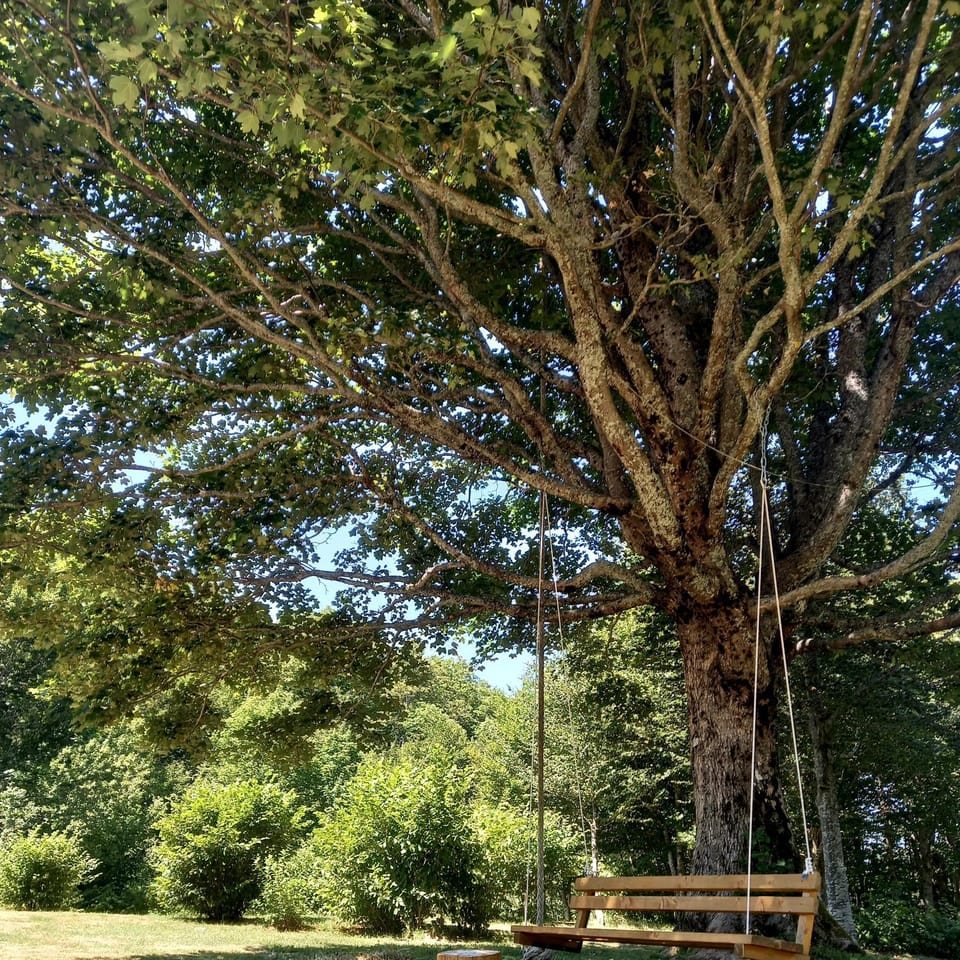 Koliba Šume Pjevaju - robinzonski smjestaj, struja 12 V, voda iz cisterne Chalet in Primorje-Gorski Kotar County