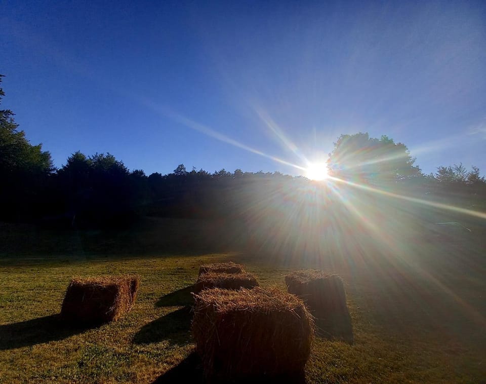 Koliba Šume Pjevaju - robinzonski smjestaj, struja 12 V, voda iz cisterne Chalet in Primorje-Gorski Kotar County