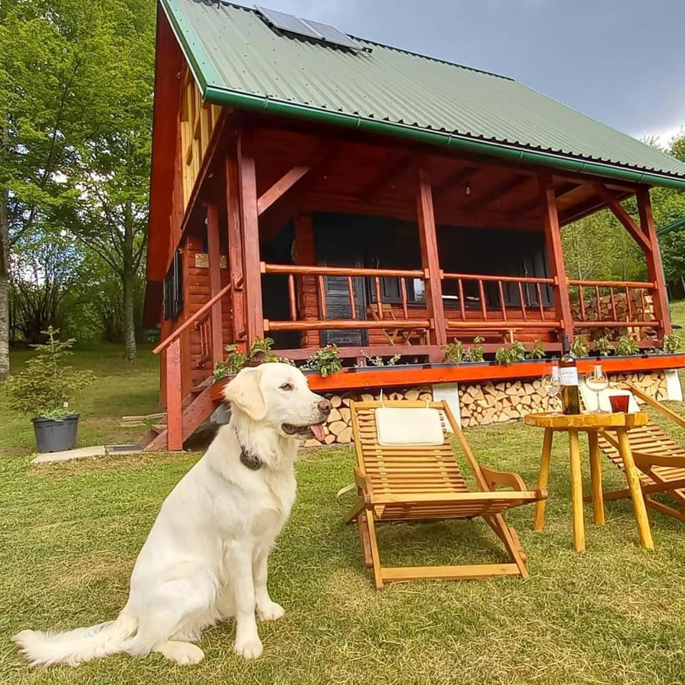 Koliba Šume Pjevaju - robinzonski smjestaj, struja 12 V, voda iz cisterne Chalet in Primorje-Gorski Kotar County