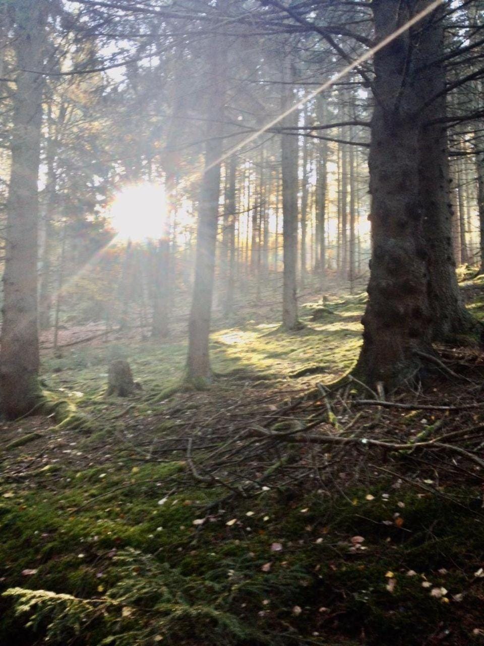 Natural landscape, Hiking