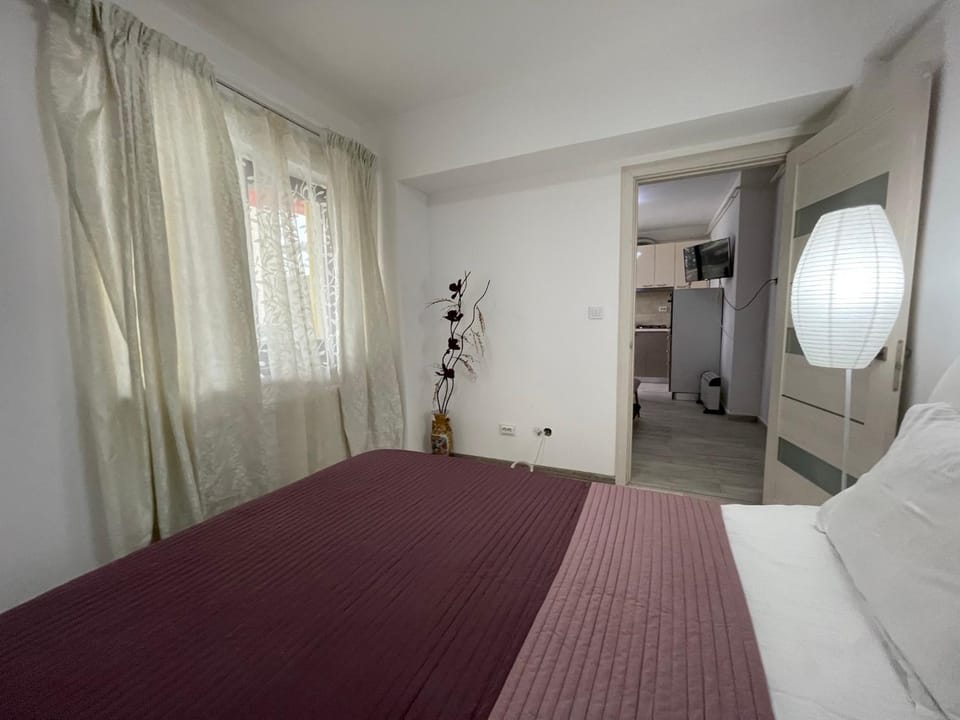 Renting Solutions Iulius Mall Apartment in Moldova