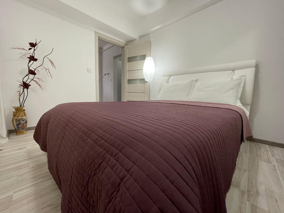 Renting Solutions Iulius Mall Apartment in Moldova