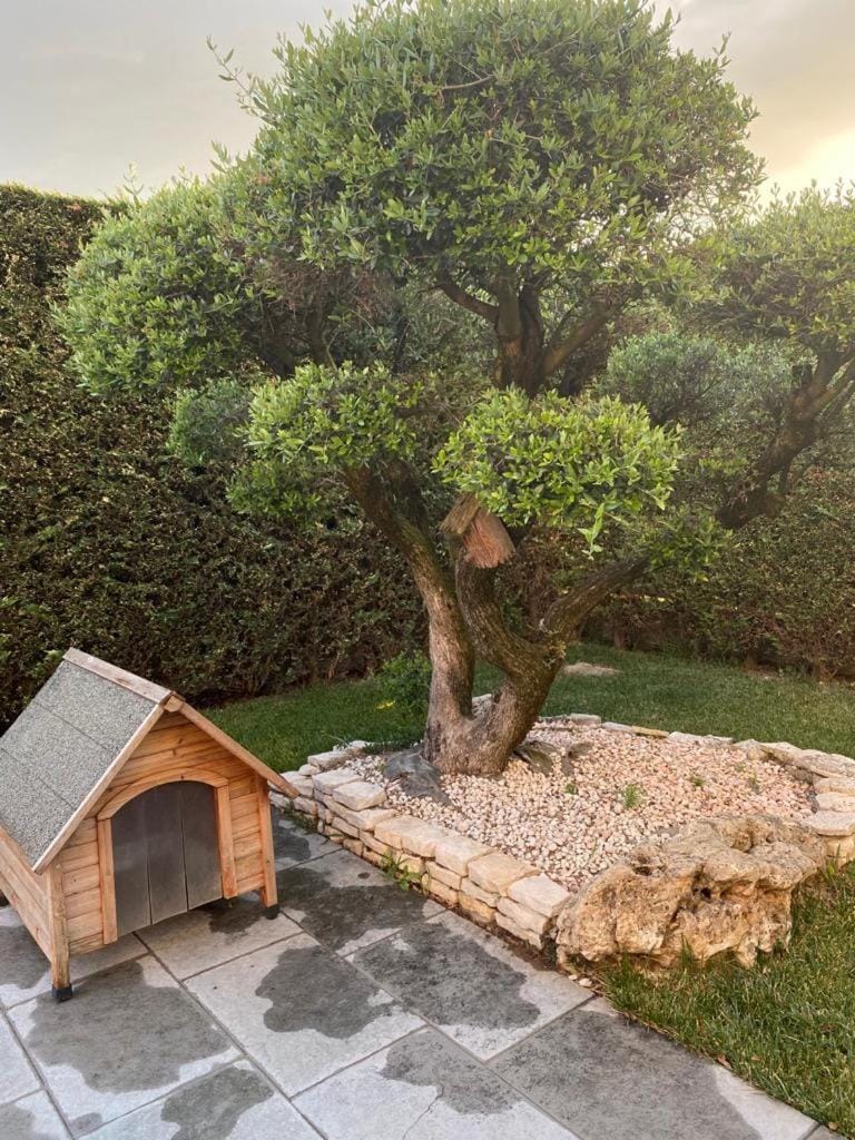 Wooden house Bed and Breakfast in Veneto