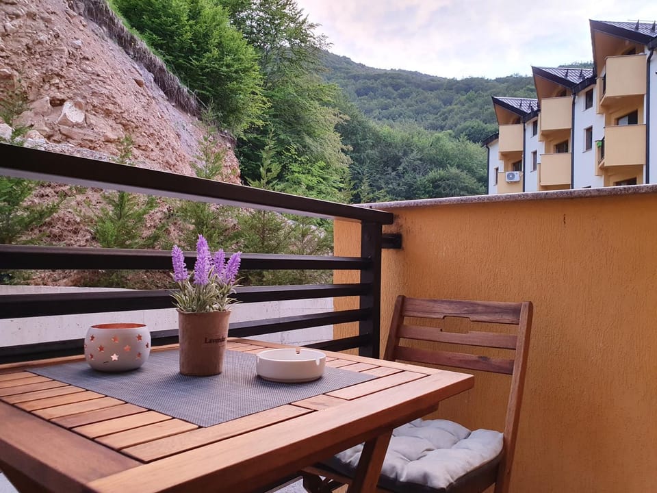 Filip&Yana Apartment Apartment in North Macedonia