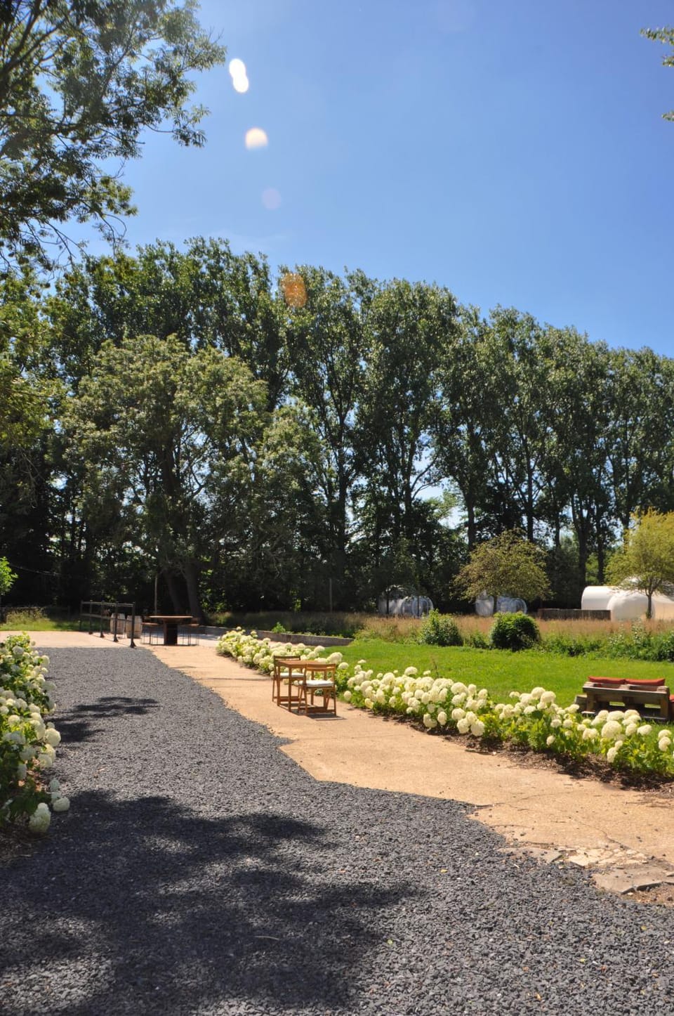 Day, Natural landscape, Summer, Garden, Garden view