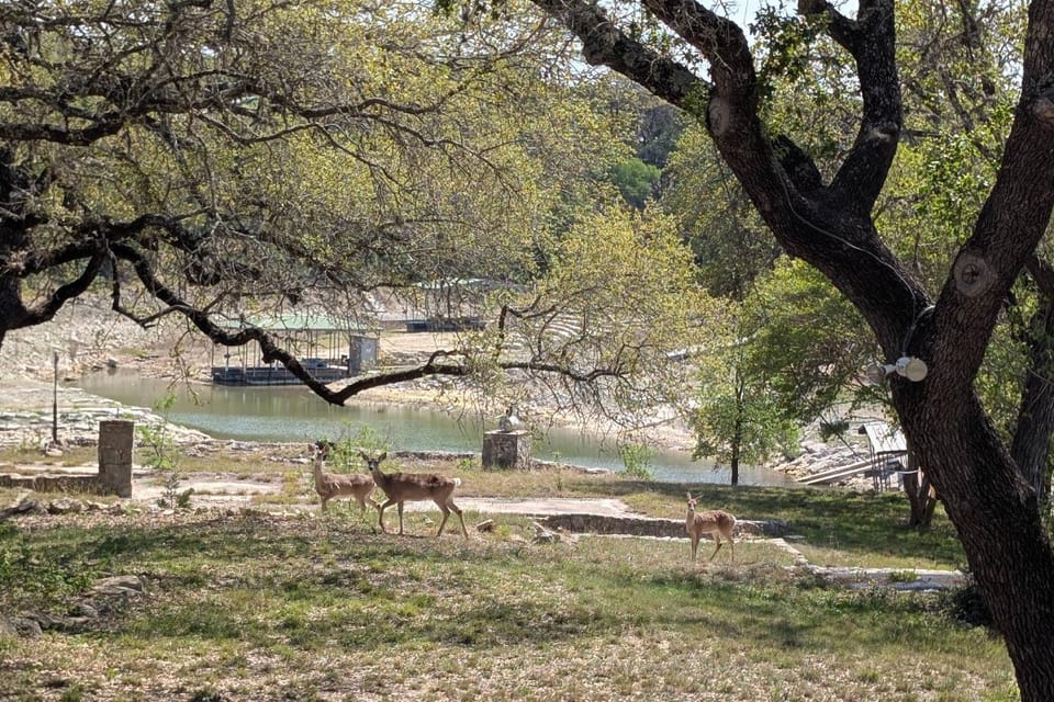 Lake Travis Getaway on Hudson Bend House in Hudson Bend