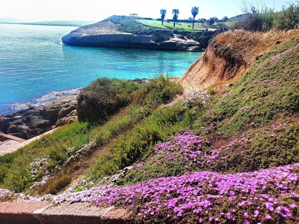 B&B Mamuthones Bed and Breakfast in Porto Torres