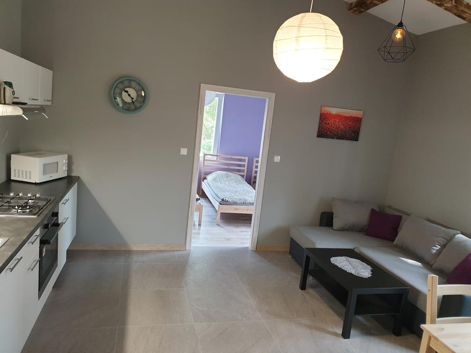 Apartament pod Sosnami 2 noclegi OTW Borówno WLK Skarszewy Apartment in Pomeranian Voivodeship