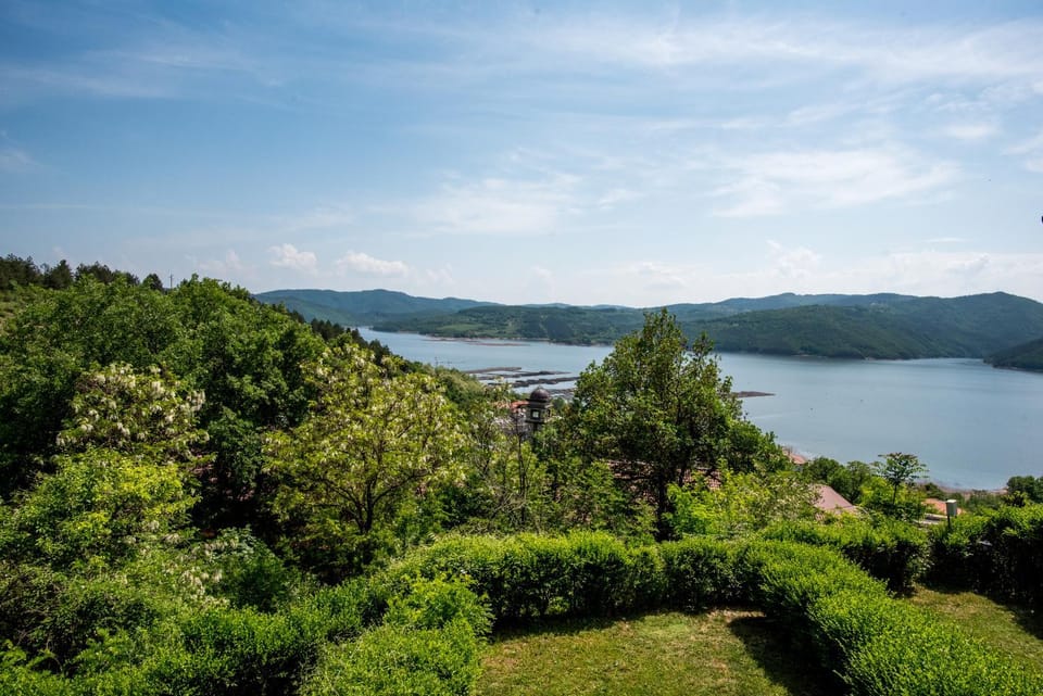 Lake view